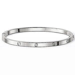 Platinum Bangle Bracelet without Stones Thin Version Stainless Steel Silver